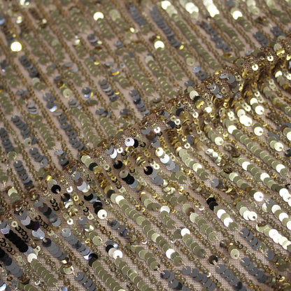 Embroidered Tulle with Vertical Paillette Stripes