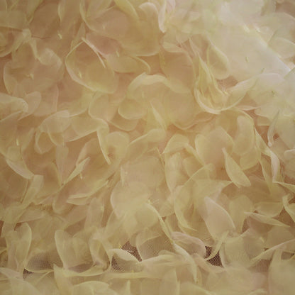 Embroidered Tulle with 3D Organza Petals and Ombre Effect