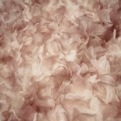 Embroidered Tulle with Multicolor Organza Flower Petals