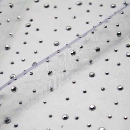 Tulle Ricamato con Strass Argentati
