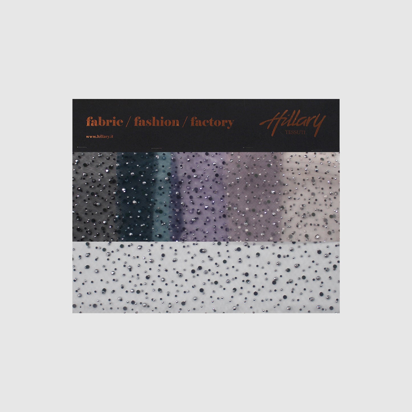 Tulle Ricamato con Strass Argentati