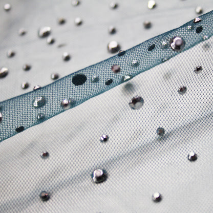 Tulle Ricamato con Strass Argentati