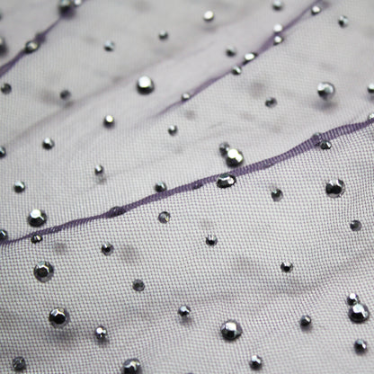 Tulle Ricamato con Strass Argentati