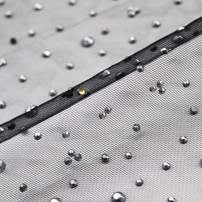 Tulle Ricamato con Strass Argentati